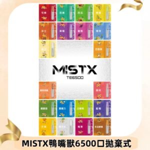 MIST X 鴨嘴獸6500口拋棄式電子煙#台灣現貨#