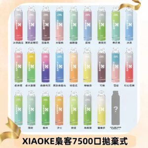 梟客XIAOKE|7500口可發光拋棄式電子煙 跑馬燈一次性